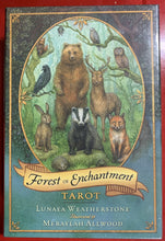 Load image into Gallery viewer, Tarot Cards
